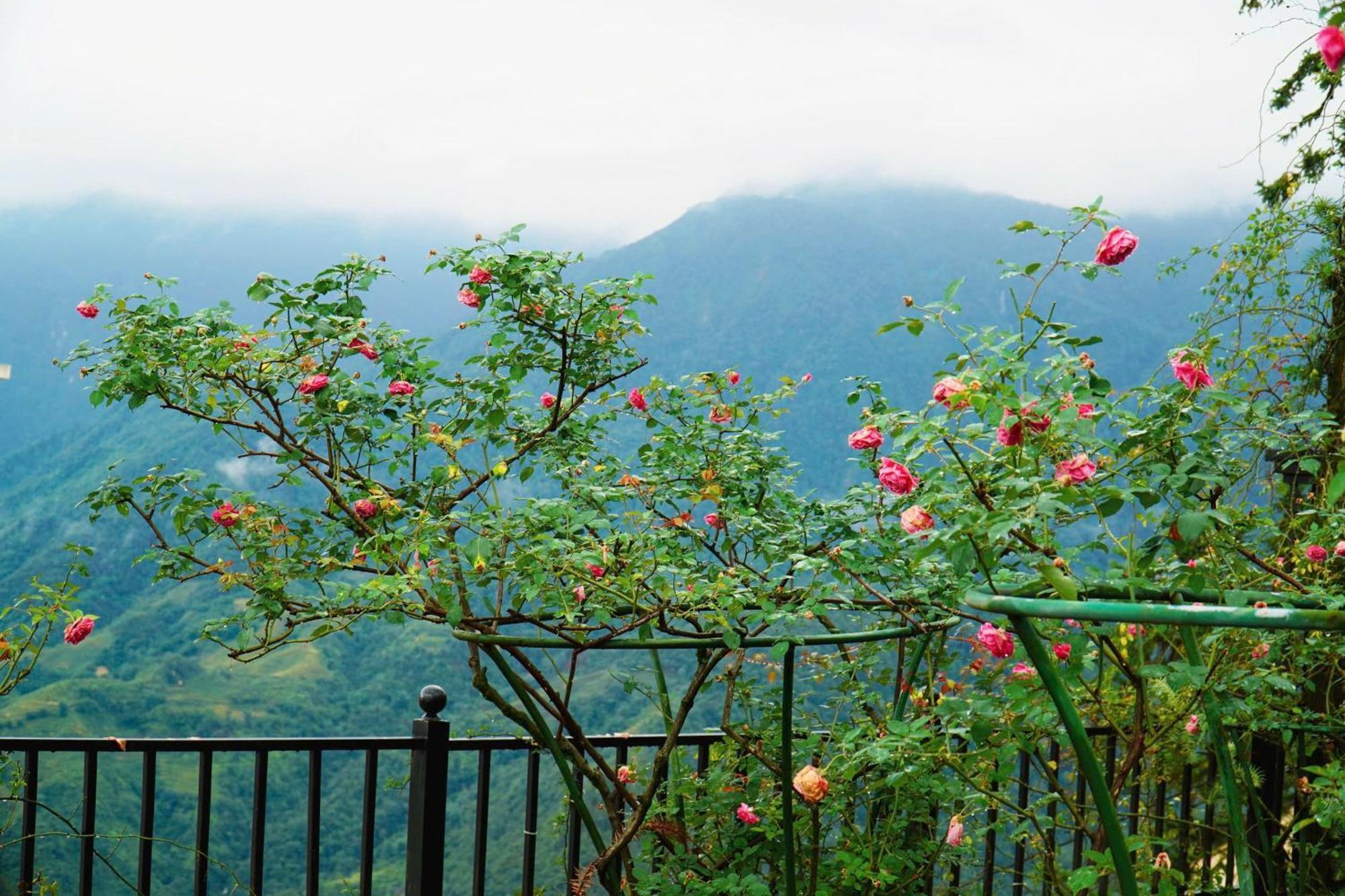 Sapa Highland Resort & Spa Zewnętrze zdjęcie
